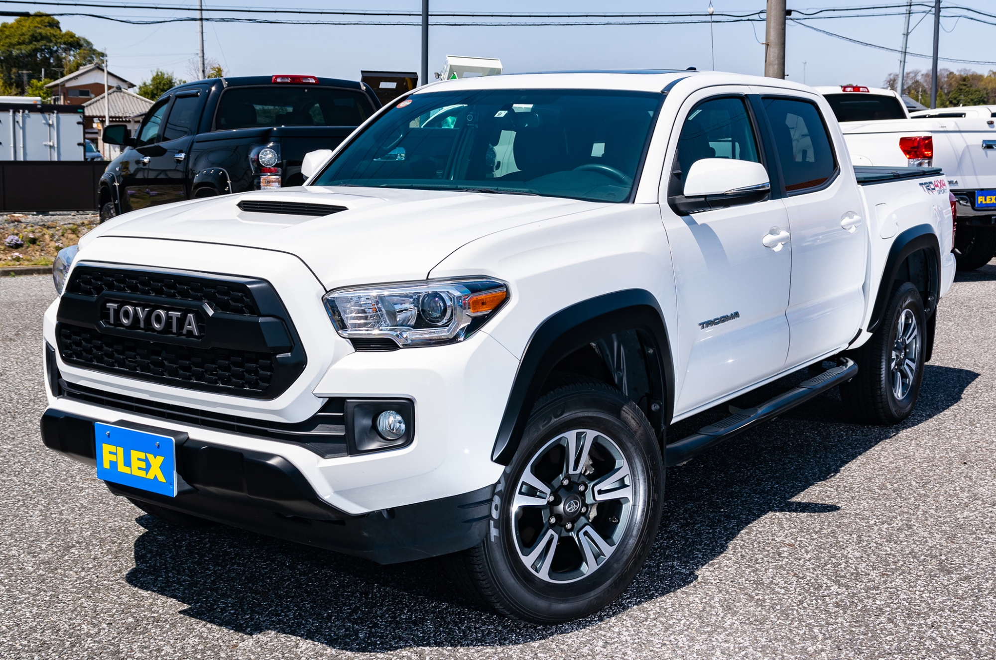 タコマ様 0000348000.jpg