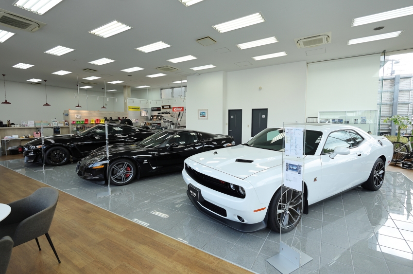 アナキャン　メタヘキテ　ダムグッドガレージ アナキャン メタヘキテ ダムグッドガレージ